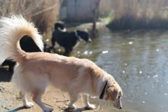 IMG_20230403_103148
