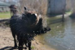 IMG_20230403_103213