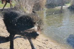IMG_20230403_103213_2