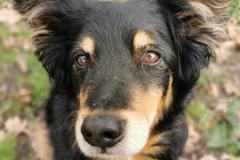 IMG_20230414_104532
