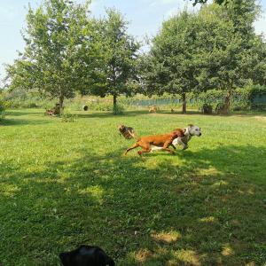 IMG_20200817_130415_1