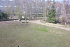 DCIM100MEDIADJI_0052.JPG