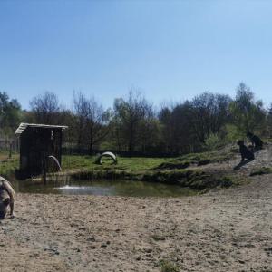 qrf