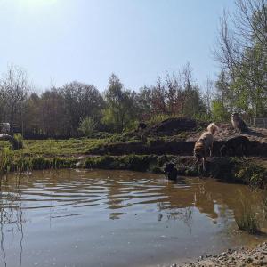 IMG_20200427_094247