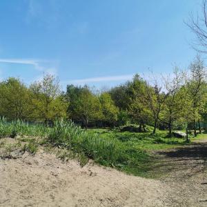 IMG_20200508_130229