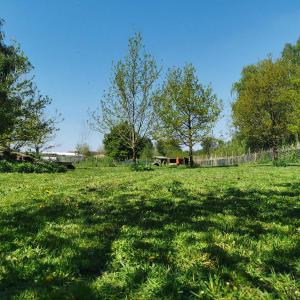 IMG_20200509_122038