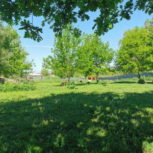 IMG_20200520_102358