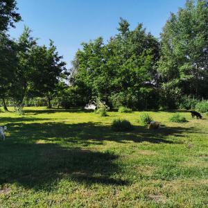 IMG_20200602_093956