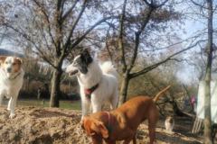 IMG_20230215_130036
