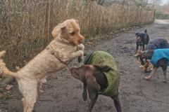 IMG_20230224_112829