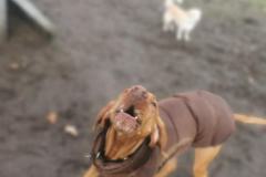 IMG_20230224_113230