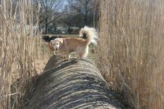 IMG_20230228_112401_1