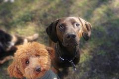 IMG_20230228_112642