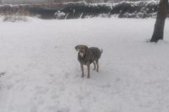 IMG_20230310_104430