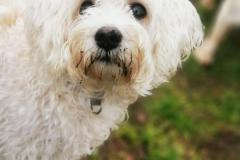 IMG_20220110_101058