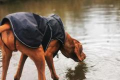 IMG_20220110_101456