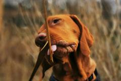 IMG_20220110_101607