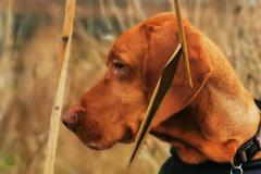 IMG_20220110_101610