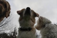 IMG_20220110_102901
