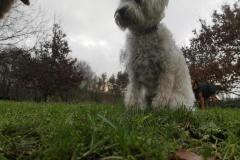 IMG_20220110_102924