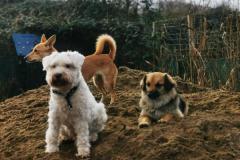 IMG_20220111_130452