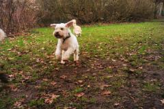IMG_20220113_133628