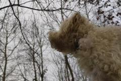 IMG_20220114_093212