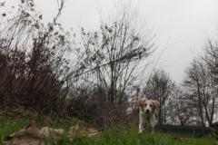 IMG_20220114_093334