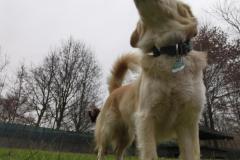 IMG_20220114_093621