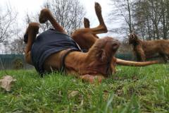 IMG_20220114_093627
