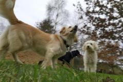 IMG_20220114_093645