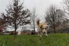 IMG_20220114_093706