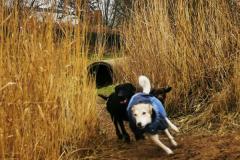 IMG_20220114_094406