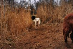 IMG_20220114_094456