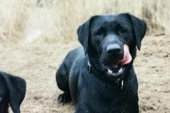 IMG_20220114_094725