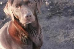 IMG_20220120_102354
