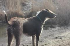 IMG_20220121_134219