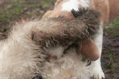 IMG_20220124_134509