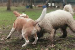 IMG_20220124_134543