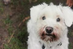 IMG_20220125_100358