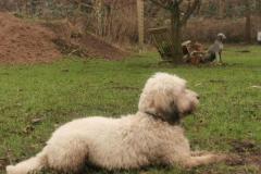 IMG_20220125_134753