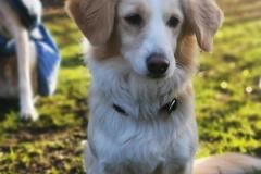 IMG_20220128_095224