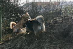 IMG_20220128_125520