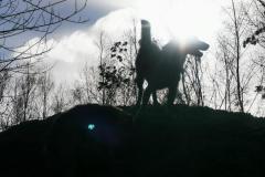 IMG_20220128_125540