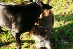 IMG_20220128_125728