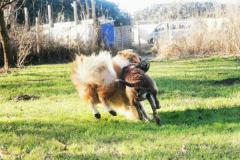IMG_20220128_125851
