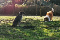 IMG_20220128_130051