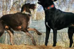 IMG_20220128_130322