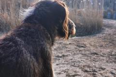 IMG_20220128_131313