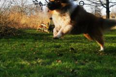IMG_20220128_134612